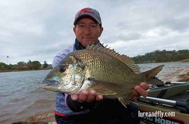 Hard yakker for breamers on Narrabeen Lakes